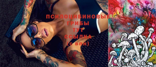 mdpv Мегион