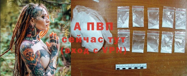 spice Медвежьегорск